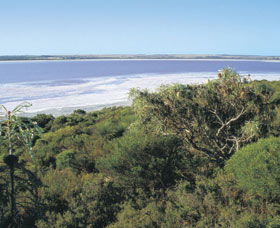 Pink Lake - Phillip Island Accommodation 0