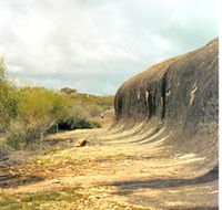 Totadgin Dam Reserve - Phillip Island Accommodation