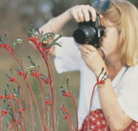 Gingin Cemetery - Phillip Island Accommodation