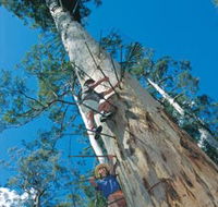 Dave Evans Bicentennial Tree - Phillip Island Accommodation