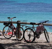 Parker Point Marine Snorkel Trail - Phillip Island Accommodation