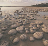 Yalgorup National Park - Phillip Island Accommodation