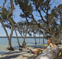 Stokes National Park - Phillip Island Accommodation