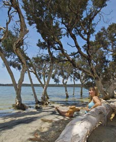 Stokes National Park - Phillip Island Accommodation 0