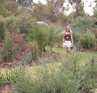 The Mythic Mazes - Phillip Island Accommodation