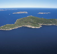Woody Island Nature Reserve - Phillip Island Accommodation