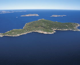 Woody Island Nature Reserve - Phillip Island Accommodation 0