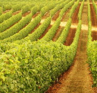 Xanadu Wines - Phillip Island Accommodation