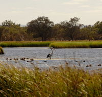 Anytime Adventures in Mandurah  the Peel Region - Phillip Island Accommodation
