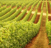 Happs Wines - Phillip Island Accommodation
