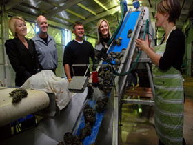  Phillip Island Accommodation