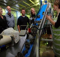 Eyre Peninsula's Seafood Trail - Phillip Island Accommodation