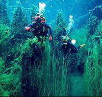 Ewens Ponds Conservation Park - Phillip Island Accommodation