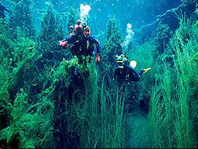 Ewens Ponds Conservation Park - Phillip Island Accommodation 0