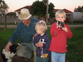 Orrie Cowie Merino And Poll Merino Stud - Phillip Island Accommodation 0