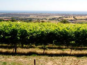  Phillip Island Accommodation