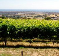 Braydun Hill Vineyard - Phillip Island Accommodation