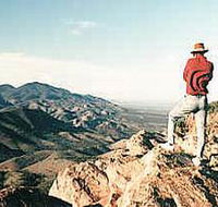 Devil's Peak Walking Trail - Phillip Island Accommodation