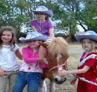Amberainbow Pony Rides - Phillip Island Accommodation