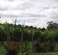 Manyara Vineyard - Phillip Island Accommodation