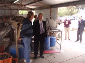 Southern Yorke Oysters - Phillip Island Accommodation 0
