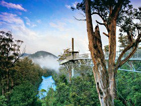  Phillip Island Accommodation