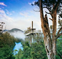 Tahune Adventures Tasmania - Phillip Island Accommodation