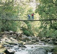 Arve Forest Drive - Phillip Island Accommodation