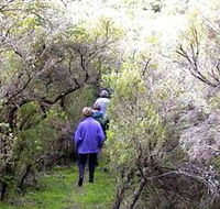Jack And Hilda McArthur Walk - Phillip Island Accommodation