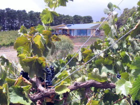 Zimmermann Wine - Phillip Island Accommodation 0