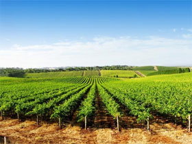 Phillip Island Accommodation