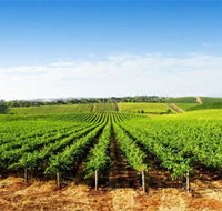 Aldinga Bay Winery - Phillip Island Accommodation