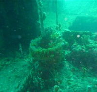 Wallaroo Scuba Club - Phillip Island Accommodation