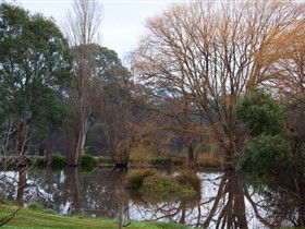Gemtree Wetlands Ecotrail - Phillip Island Accommodation 0