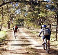 Bike About Mountain Bike Tours And Hire - Phillip Island Accommodation