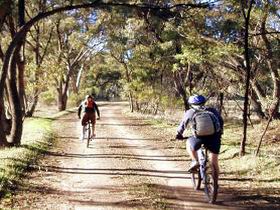Bike About Mountain Bike Tours And Hire - Phillip Island Accommodation 0