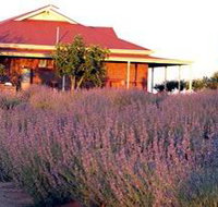 Bella Lavender Estate - Phillip Island Accommodation