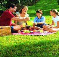 Bruny Island Berry Farm - Phillip Island Accommodation