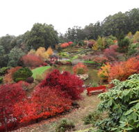 Emu Valley Rhododendron Garden - Phillip Island Accommodation