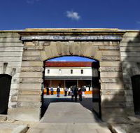 Tasmanian Museum and Art Gallery - Phillip Island Accommodation