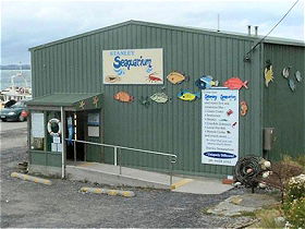 Stanley Seaquarium - Phillip Island Accommodation 0