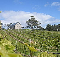 Bruny Island Premium Wines Bar and Grill - Phillip Island Accommodation