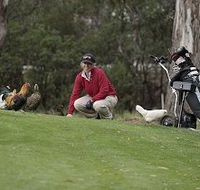 Tasmania Golf Club - The - Phillip Island Accommodation