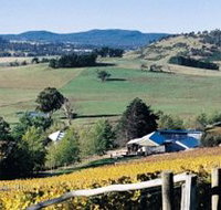 Freycinet Vineyards Pty Ltd - Phillip Island Accommodation