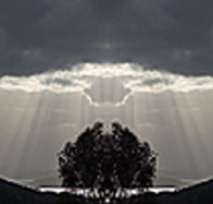 aart. Gallery of Fine Art - Phillip Island Accommodation
