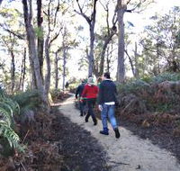 Bridport Walking Track - Phillip Island Accommodation