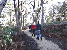 Bridport Walking Track - Phillip Island Accommodation 0