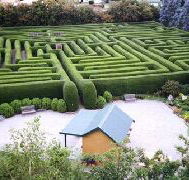 Westbury Maze and Tea Room - Phillip Island Accommodation