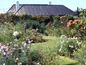 Rosedown Gardens - Phillip Island Accommodation 0