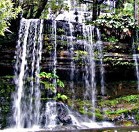 Mt Field National Park - Phillip Island Accommodation
